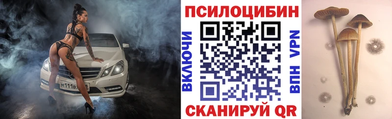 Галлюциногенные грибы мухоморы  купить наркотик  Новоржев 